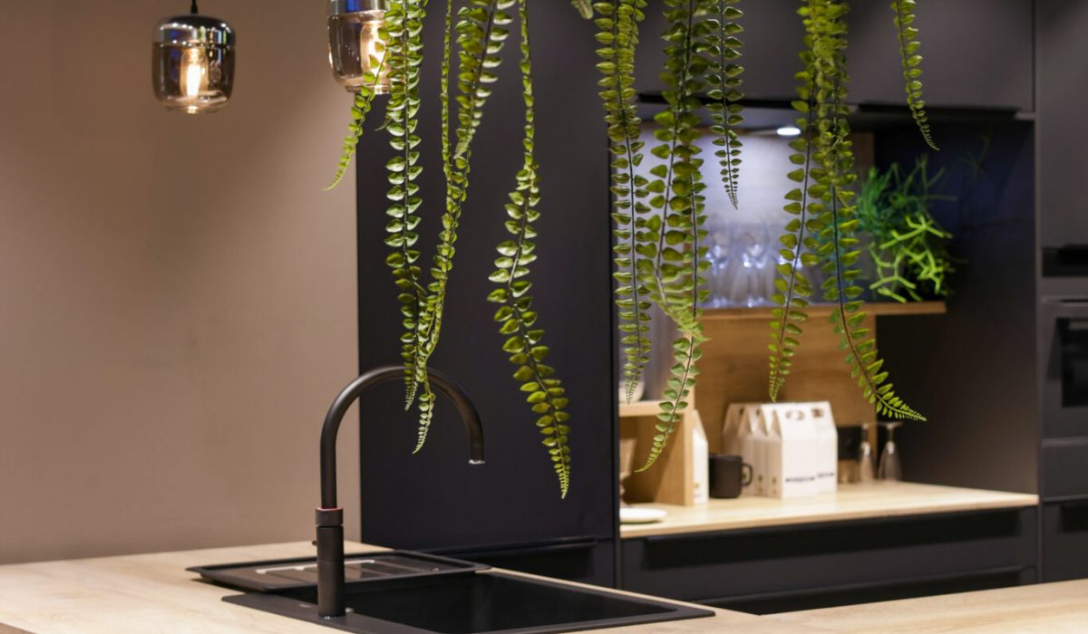 Cuisine noire moderne avec évier noir et plan de travail en bois ainsi qu'une plante pendue au plafond